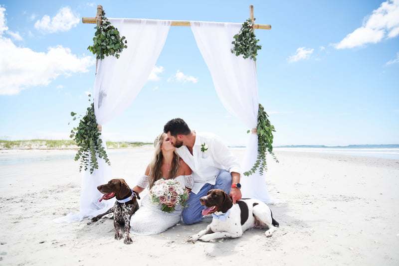 island wedding with dogs