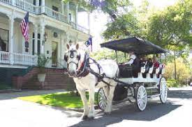 Horse and carriage outside a historic home